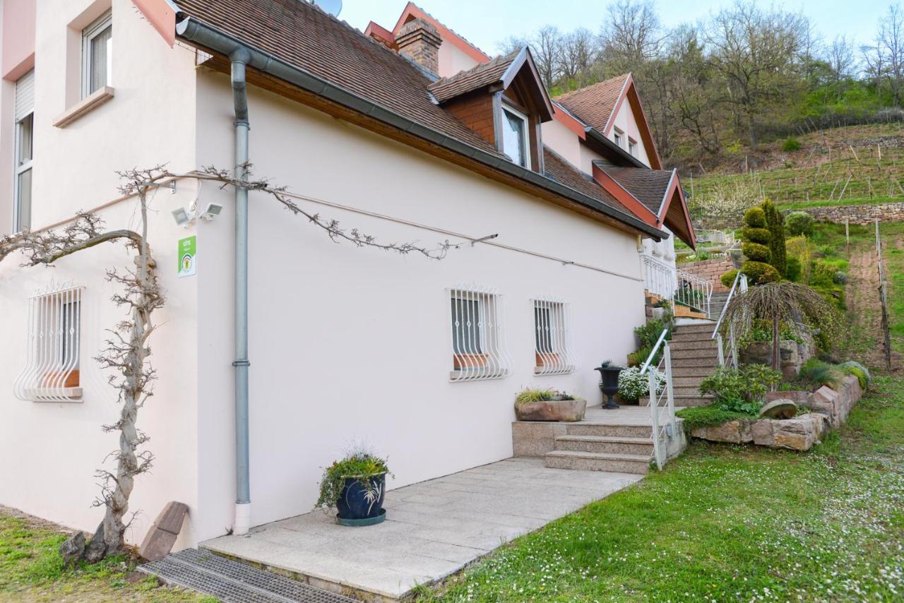 Les Glycines Du Sommerberg Niedermorschwihr Exterior foto