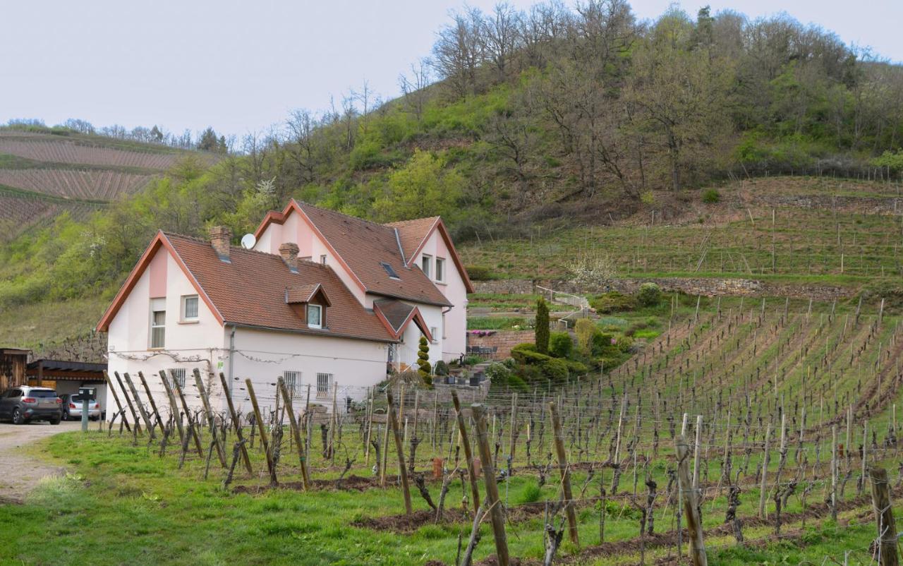 Les Glycines Du Sommerberg Niedermorschwihr Exterior foto